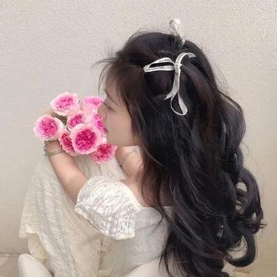 惹不起的宫主大人